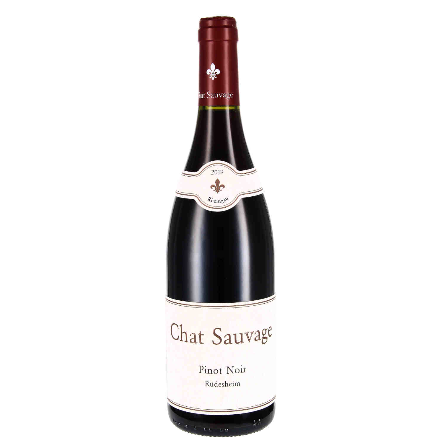 Pinot Noir Rüdesheim 2019, QW