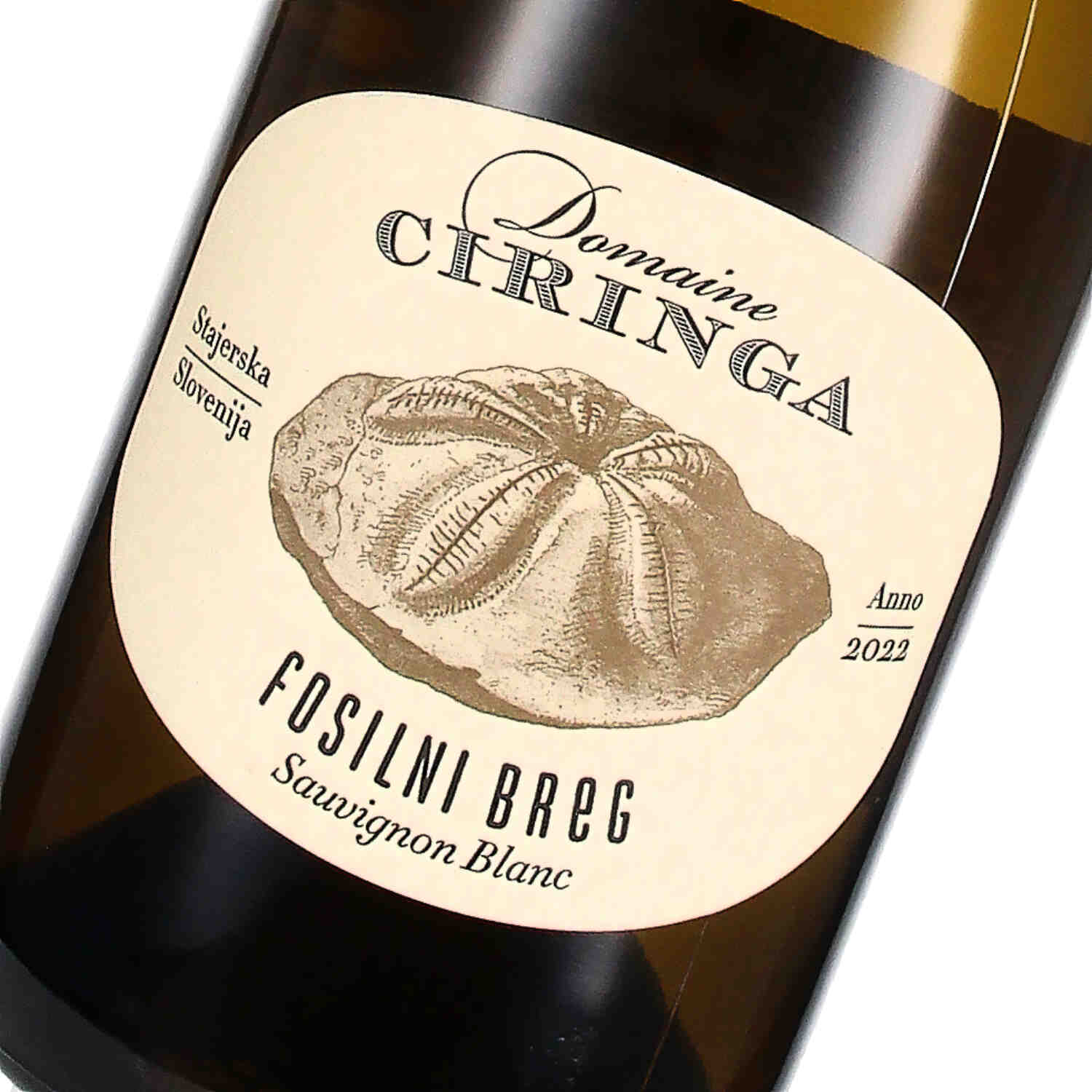 Fosilni Breg Sauvignon Blanc Vrhunsko Vino ZGP 2022 (bio)