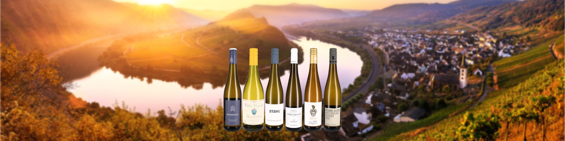 Startseitenbanner VINUS.shop 1920x480-2-Weiwein Highlights