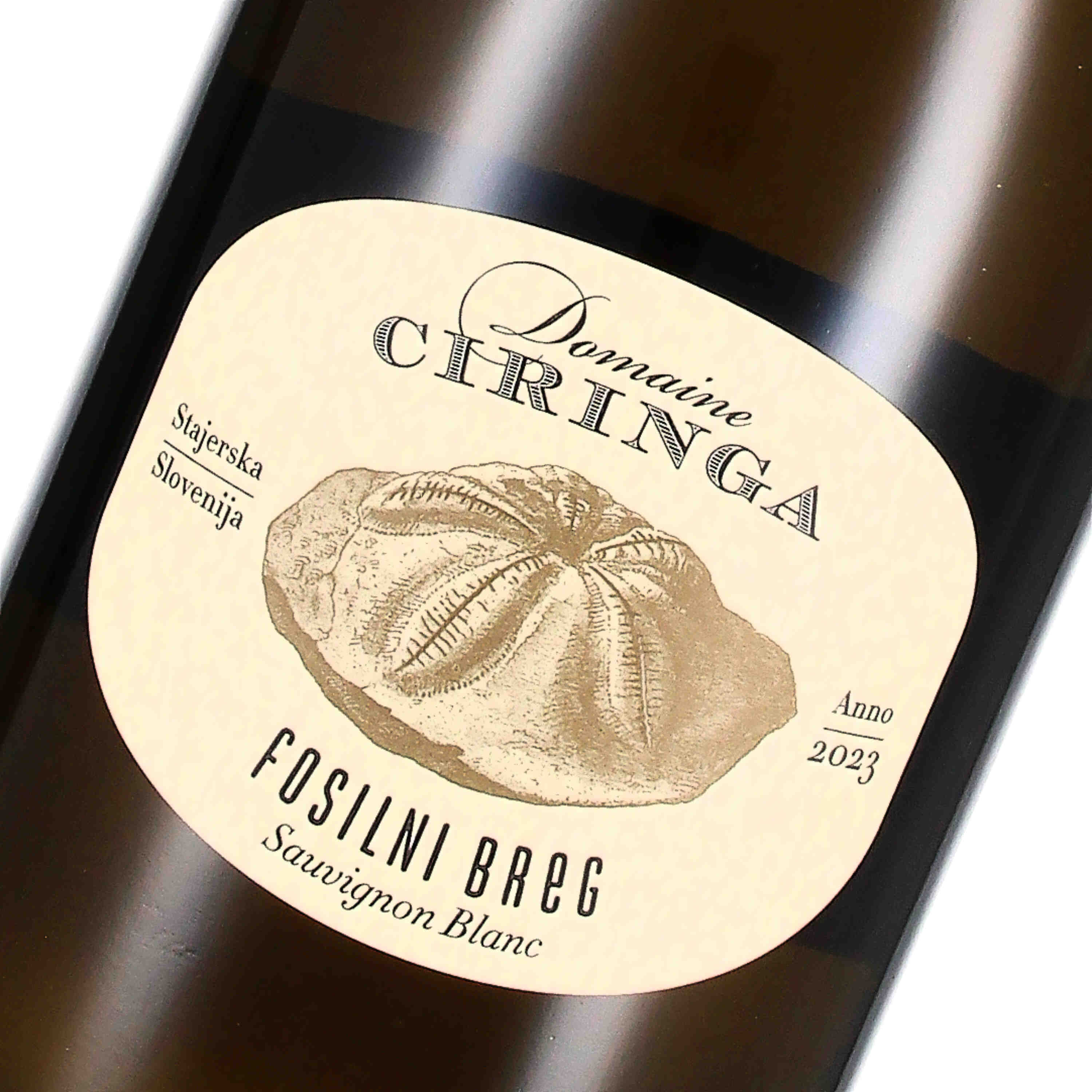 Fosilni Breg Sauvignon Blanc Vrhunsko Vino ZGP 2023 (bio) - Magnum